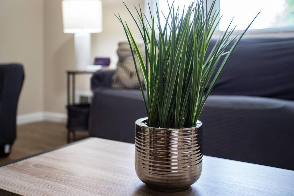 {Quiet Suburban Ranch Hot Tub} Mins Arpt/Rit/Dwnt Apartment โรเชสเตอร์ ภายนอก รูปภาพ